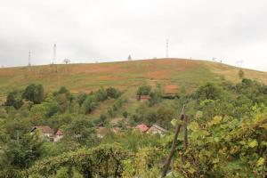 a grassy hill with houses on top of it at Casa Dănuț in Reşiţa