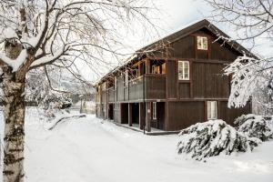 una casa in legno nella neve con alberi innevati di Villa Fredheim Farm, Hemsedal a Hemsedal