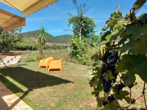 a patio with two orange chairs in a yard at Ribança Village in Destriz