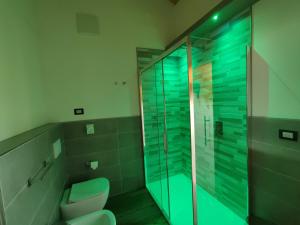 a bathroom with a toilet and a glass shower at DOLOMITES B&B - Suites, Apartments and SPA in Tesero