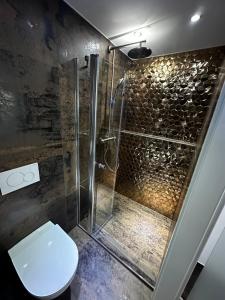 een badkamer met een douche en een toilet bij Dominik in Dernbach