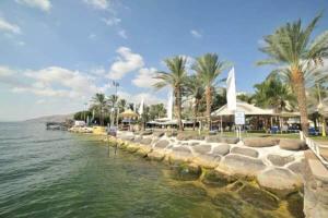 a body of water with palm trees and a rock wall at מגדלי המלכים נופש משפחתי in Tiberias