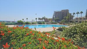 a swimming pool with red flowers in the foreground at Julie's beach house in Oroklini