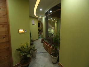 Fotografie z fotogalerie ubytování D's Casa - A Unique Spanish Boutique House v destinaci McLeod Ganj