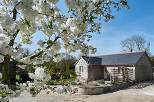 a house with white flowers on a tree at The Barn - Georgeham North Devon in Braunton