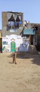 Galeriebild der Unterkunft NUBA ONe in Assuan