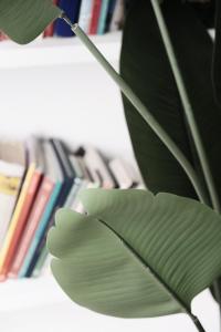 The library in Az apartmant