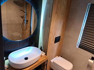 W łazience znajduje się biała umywalka i lustro. w obiekcie Sub Silva w Bałtowie