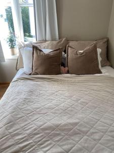 Легло или легла в стая в Mycondo no - Snorres gt 4b apt 2 - Gratis parkering