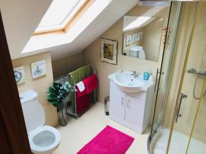 ein Bad mit einem Waschbecken, einem WC und einer Dusche in der Unterkunft Connemara. 3 Bedroom, 8 bed, Holiday home in Galway
