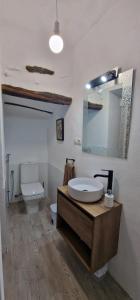 een badkamer met een wastafel, een toilet en een spiegel bij Casa Rural Vata 1 y 2 Pampaneira Alpujarra in Pampaneira
