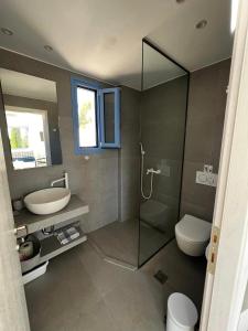 a bathroom with a shower and a sink and a toilet at Katerinas Village Supreme Villas with private pool in Agios Nikitas