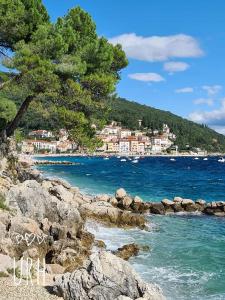 a view of a beach with a tree and the water at Apartments Blue & Green in Mošćenička Draga