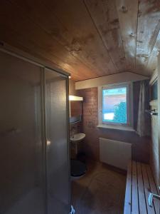 a bathroom with a shower and a sink at Tschoueilles 5 MOUNTAIN & QUIET chalet 10 pers in Veysonnaz