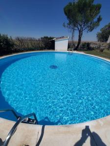 a large blue swimming pool with a tree in the background at Complejo en el medio del campo! 