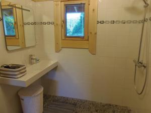 a bathroom with a shower and a sink and a mirror at CHALET BOIS PLEINE NATURE 6 PLACES in Sainte-Eulalie-dʼOlt