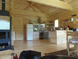 a large kitchen with wooden walls and wooden floors at CHALET BOIS PLEINE NATURE 6 PLACES in Sainte-Eulalie-dʼOlt