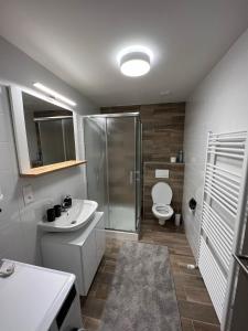 y baño con aseo, lavabo y ducha. en Apartment Timo Bešeň 209 en Bešeňová