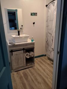 a bathroom with a sink and a mirror at Luxury In A Quaint Little Package in Oshkosh