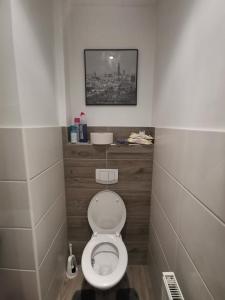 ウィーンにあるFerienwohnung Diefenbachgasseのバスルーム(壁に絵が描かれたトイレ付)