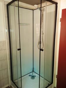 a shower with a glass door in a bathroom at Appartement an der Bicke in Dehringhausen