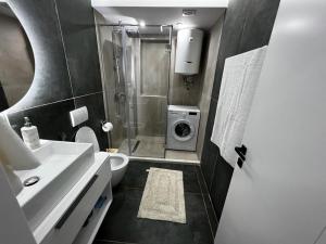 uma casa de banho com um lavatório e uma máquina de lavar roupa em Dan apartment Tirana em Tirana