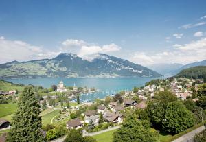 una ciudad con un lago y montañas en el fondo en Hotel Seaside, en Spiez