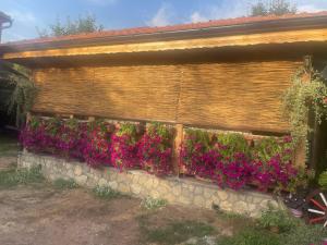 Um jardim no exterior de Temački konaci
