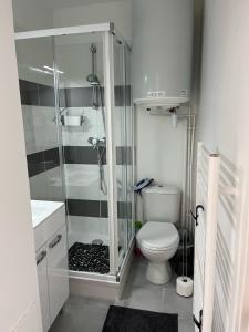 La salle de bains est pourvue d'une douche, de toilettes et d'un lavabo. dans l'établissement Le Petit Normand, à Courseulles-sur-Mer