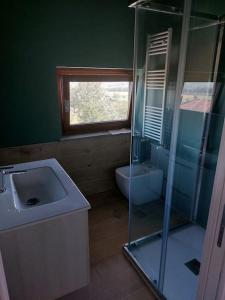 ein Bad mit einem Waschbecken, einer Dusche und einem Fenster in der Unterkunft Appartamento dei Tigli in Bra