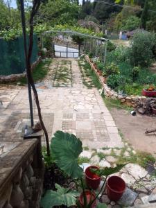un jardín con plantas y una pasarela de piedra en Shtepia e Llambros en Vlorë