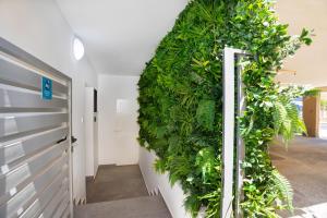 a green wall in a hallway with a door at STAY Zen Studio in Limassol