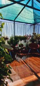 A garden outside Casa de Huespedes Dolce Vita