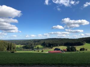 a green field with a barn in the middle of it at Ferienwohnungen am Schneeberg in Titisee-Neustadt