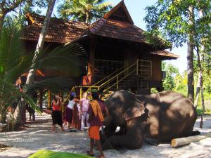 grupa ludzi stojących wokół słonia przed budynkiem w obiekcie Elephant Courtyard- A Heritage Homestay w mieście Alappuzha