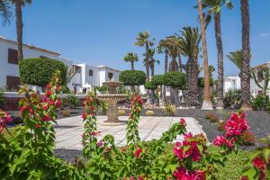 ogród z różowymi kwiatami i palmami w obiekcie Royal Tenerife Country Club w San Miguel de Abona