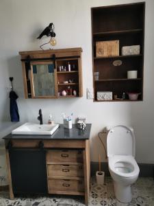 a bathroom with a sink and a toilet at La maison aux rosiers in Montmarault