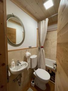 a bathroom with a toilet and a sink and a mirror at Cèsa Cianacei Prestige in Canazei