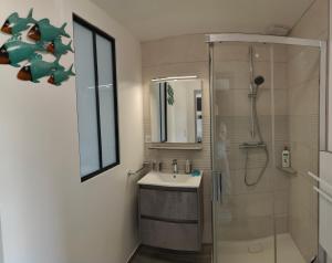 ein Bad mit einer Dusche, einem Waschbecken und einer Duschkabine aus Glas in der Unterkunft Duplex à la Beardiére in Évron