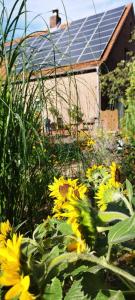 um grupo de flores amarelas em frente a uma casa em Bed and Breakfast Am Schwatten Berg em Heek