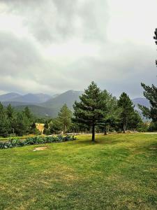 een groen veld met bomen en bergen op de achtergrond bij Vikendica Mateo in Blidinje