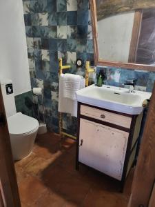 a bathroom with a sink and a mirror and a toilet at Casa Rural: La casa El cura in Madrigal de la Vera