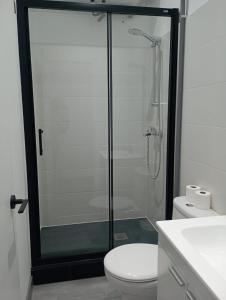 een badkamer met een glazen douche en een toilet bij Estudio en Callao, 4 personas in Madrid