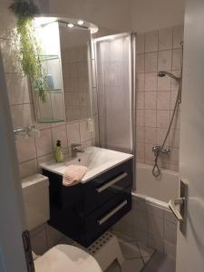 y baño con lavabo, ducha y aseo. en Apartment KY481 im Panoramic Hohegeiß en Hohegeiß