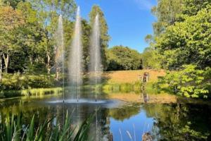 a pond with a fountain in the middle of a park at Apartment KY481 im Panoramic Hohegeiß in Hohegeiß
