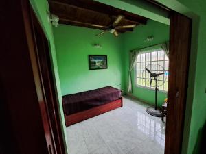 Dormitorio verde con cama y ventana en Mi Lugar en Gómez