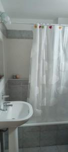 baño con lavabo y cortina de ducha en Céntrico y amplio apartamento a pasos del metro en Buenos Aires
