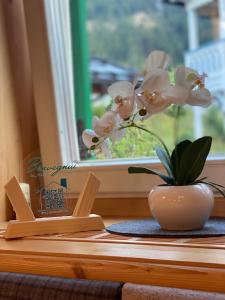 Gallery image of Garnì Villa Elsa in Pozza di Fassa +14 photos