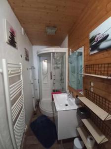 a bathroom with a sink and a shower and a toilet at Gite de l'Ours in Saint-Maurice-sur-Moselle