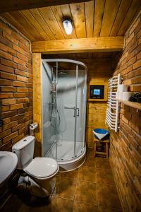 Et badeværelse på Sokolisko - domki całoroczne z kominkiem